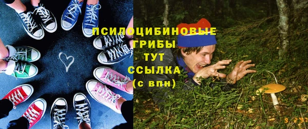 гашик Майский
