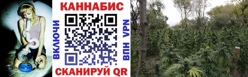 МАРИХУАНА Amnesia  Купить где  Арск 